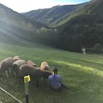 Buechlhof - App. Himmelalm