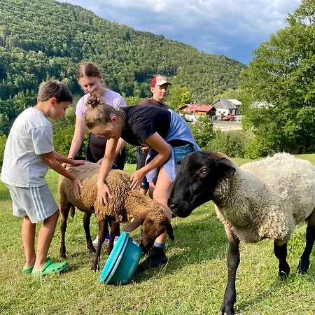 Buechlhof - App. Himmelalm Lilienfeld