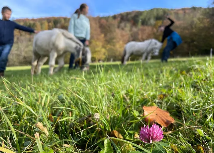Apartament Buechlhof - App. Himmelalm Lilienfeld